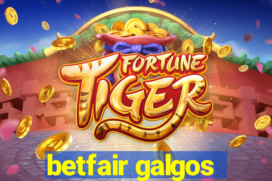 betfair galgos